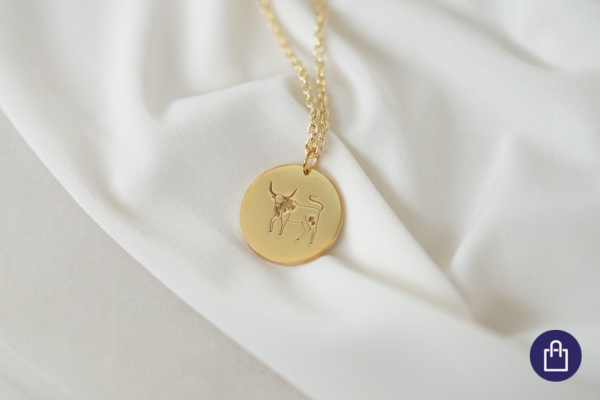 Šperk se znamením Buvola