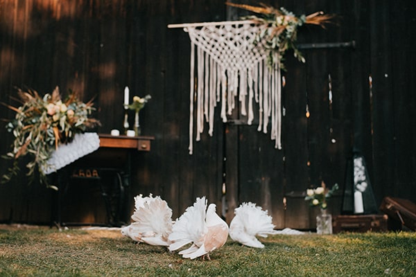 Svatební holubice