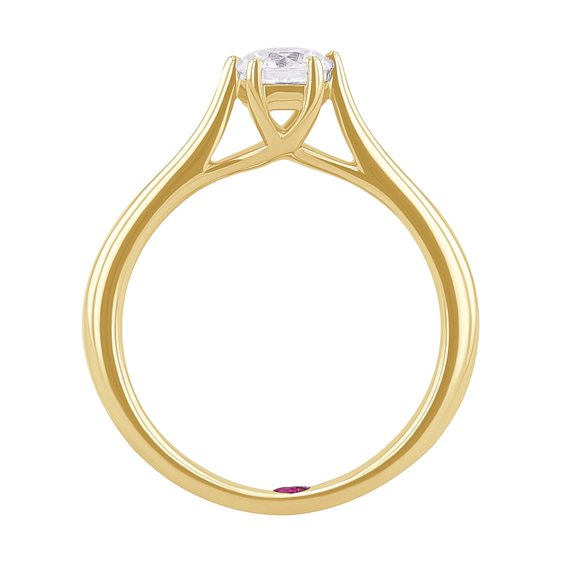 Zásnubní prsten s diamantem a rubínem Nelia 124806