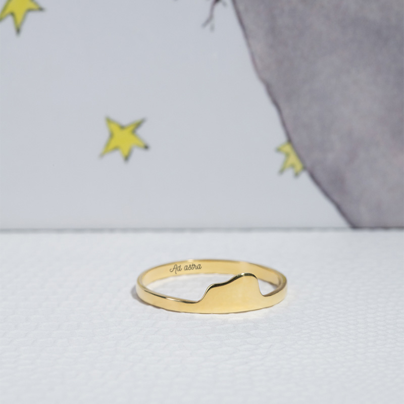 Stříbrný prsten s ukrytým slonem Malý princ 126338
