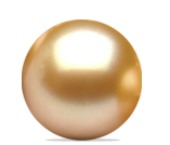 Jihomořská perla